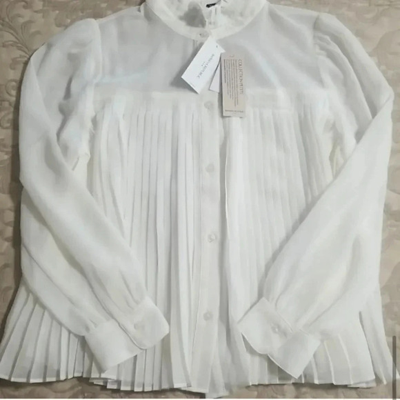 Banana Republic Chiffon Pleated Blouse - Picture 7 of 13